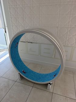 Cat Exercise Wheel “ONE FAST CAT”
