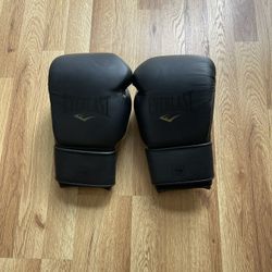 EVERLAST mx 2 16 oz training glove