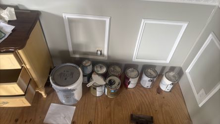 Random paint $20 take all