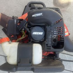 Echo Blower