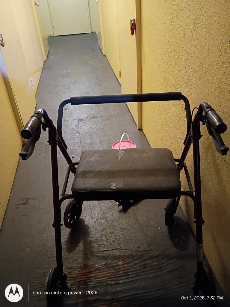 Mobility Walkers