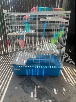 Gerbil cage