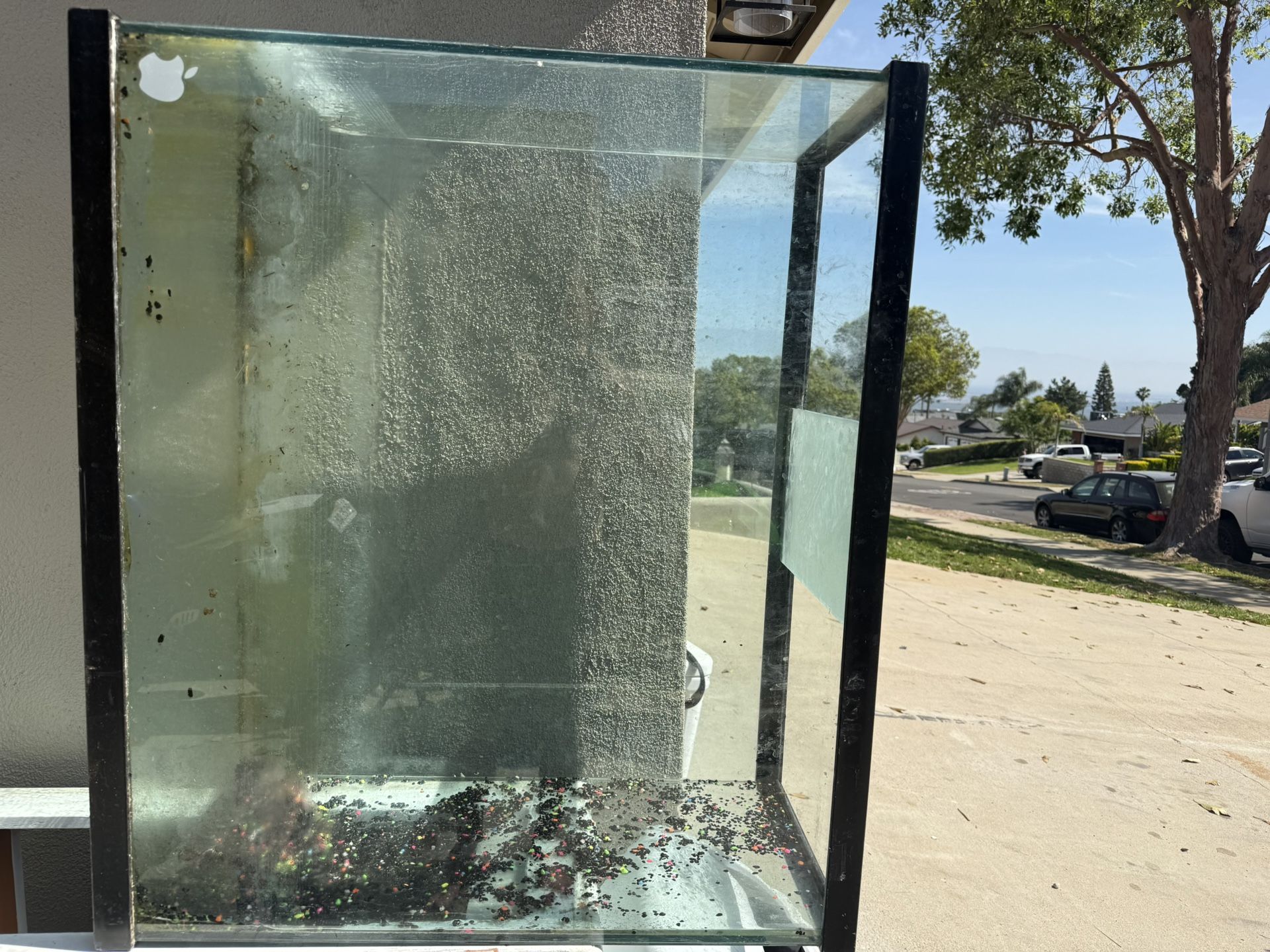 Fish Or Turtle Tank