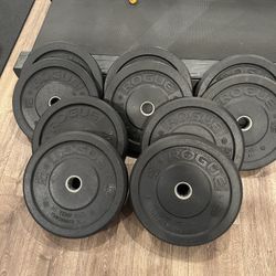 Rogue Weight plates for Sale in Wyckoff NJ OfferUp