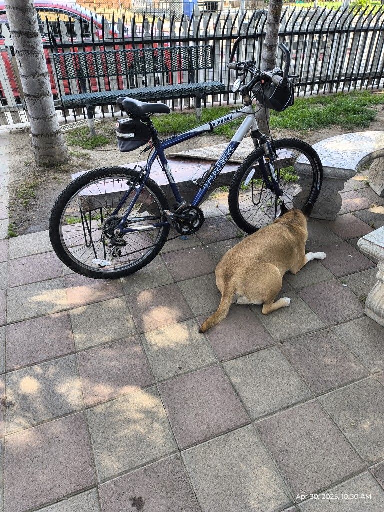 Trek Mountain bike