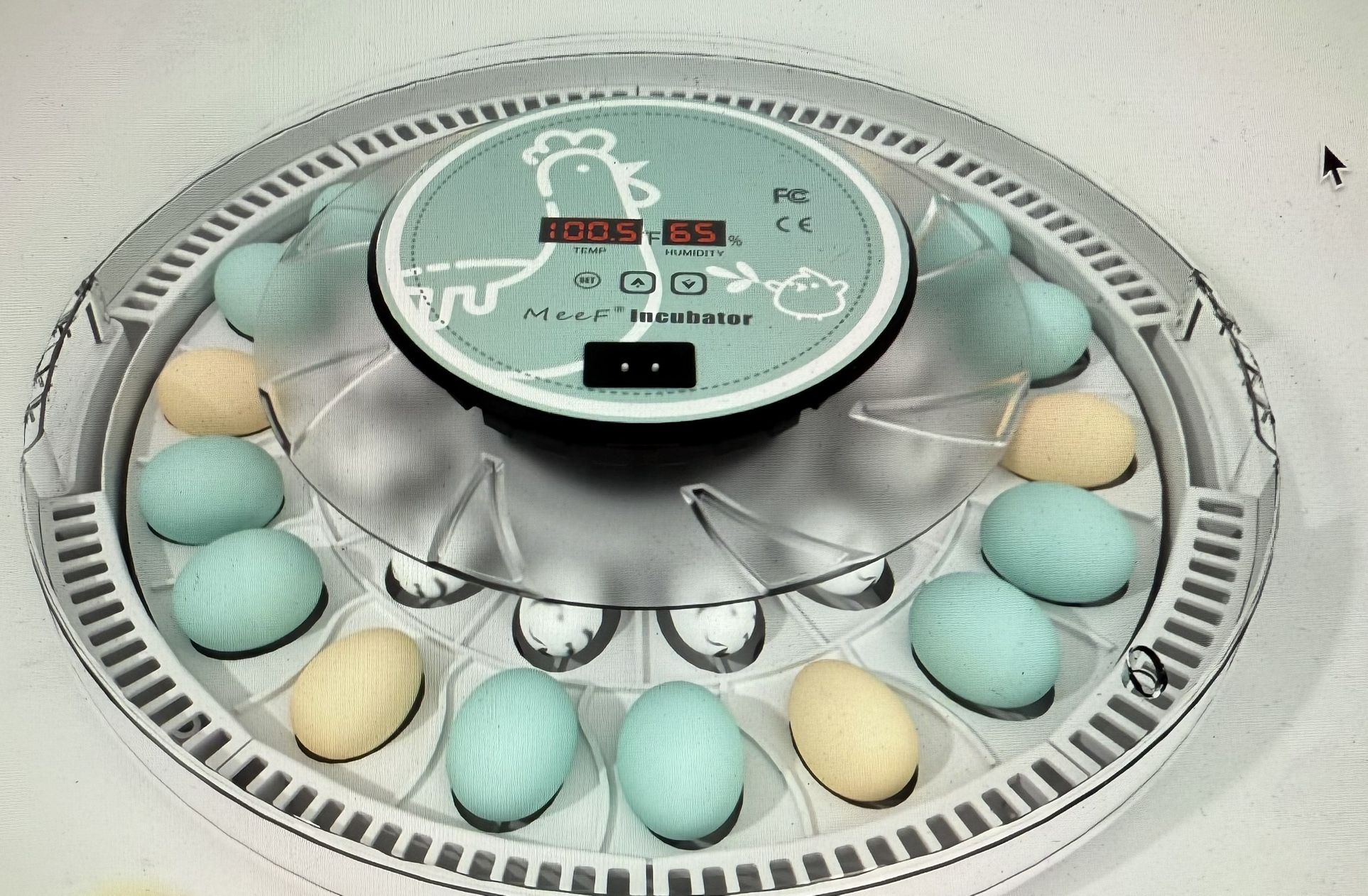 MEEF 30  EGG INCUBATOR NEW IN BOX