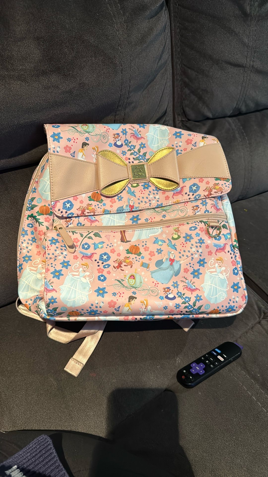 Cinderella Petunia Pickle Bottom Meta Backpack Diaper Bag
