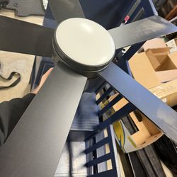 Ceiling Fan With Light