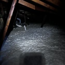 Insulation R-30 12" NEW White 