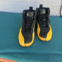 Jordan 12 