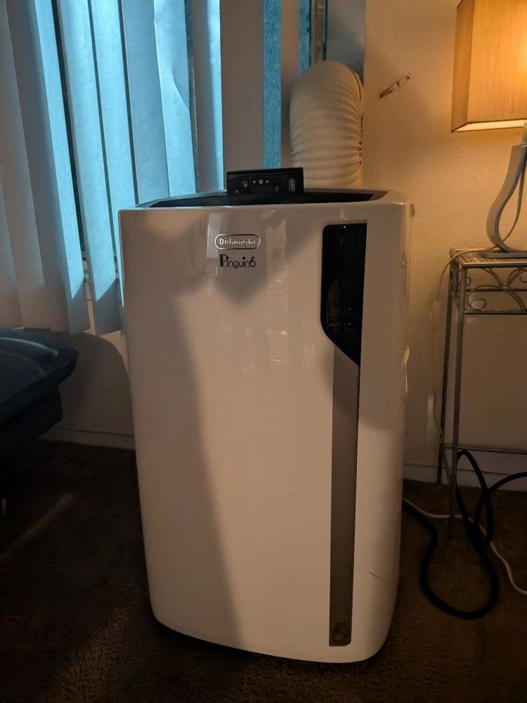 De'Longhi Pinguino portable air conditioner.