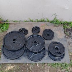 245lbs Olympic Weights 