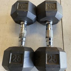 25 Lb Dumbbells 