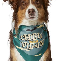 Chillin Like A Villain