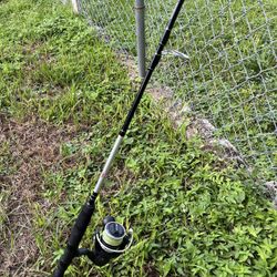 Penn Pursuit 3 Combo Fishing Rod