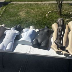 Maniquies $10 Each 