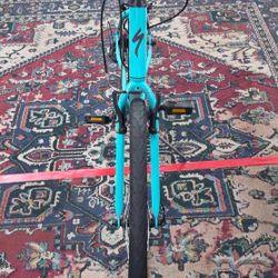 Specialized bicycle crossroads