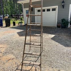 werner 8 ft wooden ladder