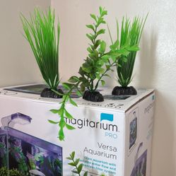 Fish Tank Plants