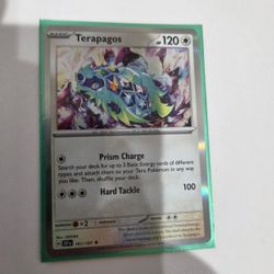 Pokemon TCG Terapagos And Pokemon TCG Energy Search Pro
