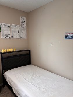 Twin Bed & Mattress