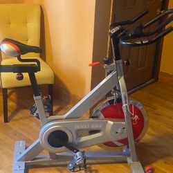 Sunny Health & Fitness Pro 2 Indoor 