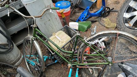 Classic schwinn