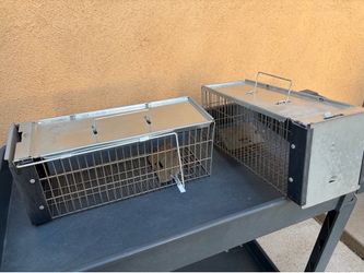 Animal trap