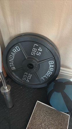 45 lb plates