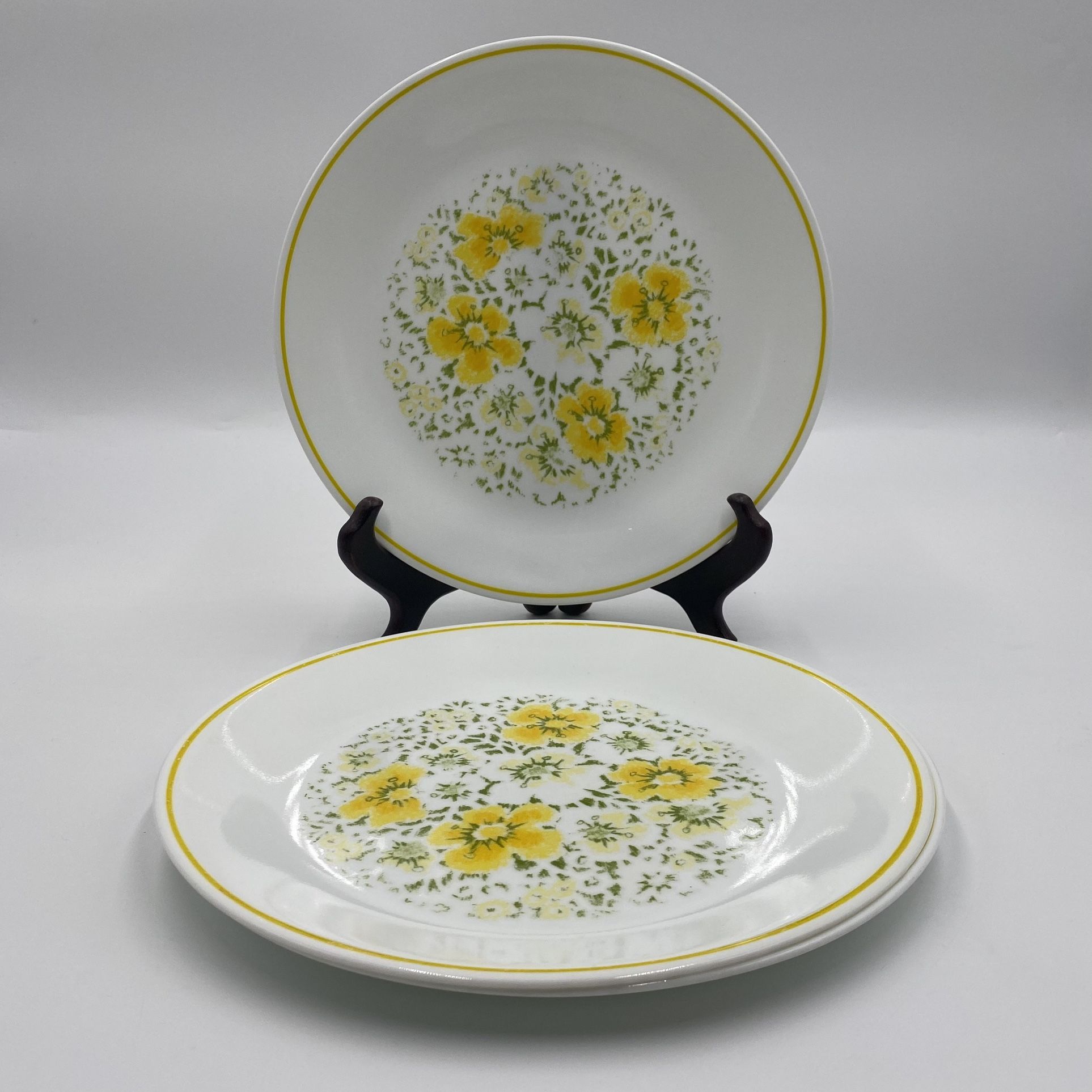 Corelle by Corning April Dinner Plates (Set of 2)
