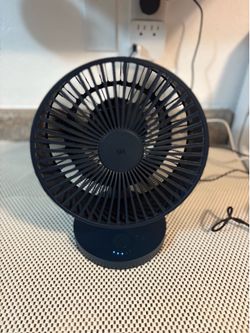 Fan