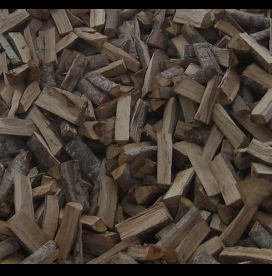 Firewood 🪵 for Sale