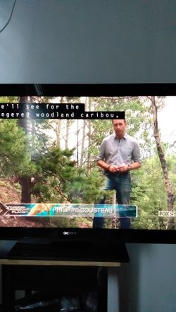 40" Sony TV/ w original remote