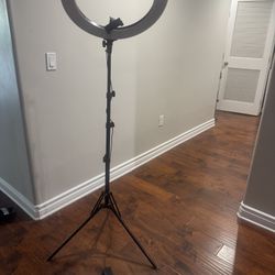 Large Ring Light 