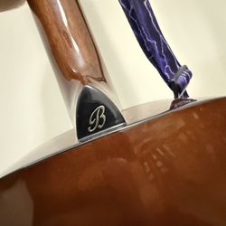 Acoustic Guitar 