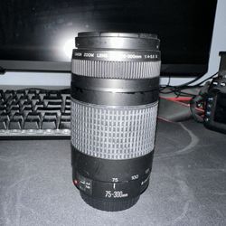 Canon 75-300mm & 24-70mm Lens