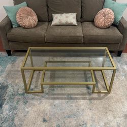 Couch With Pillows, Coffee Table, And Area Rug Altogether