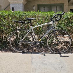 Large Specialized Road Bike