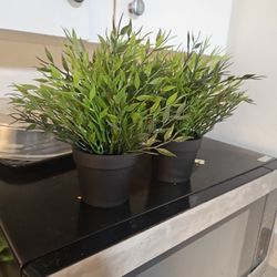 Two Small Artificial Plants 
