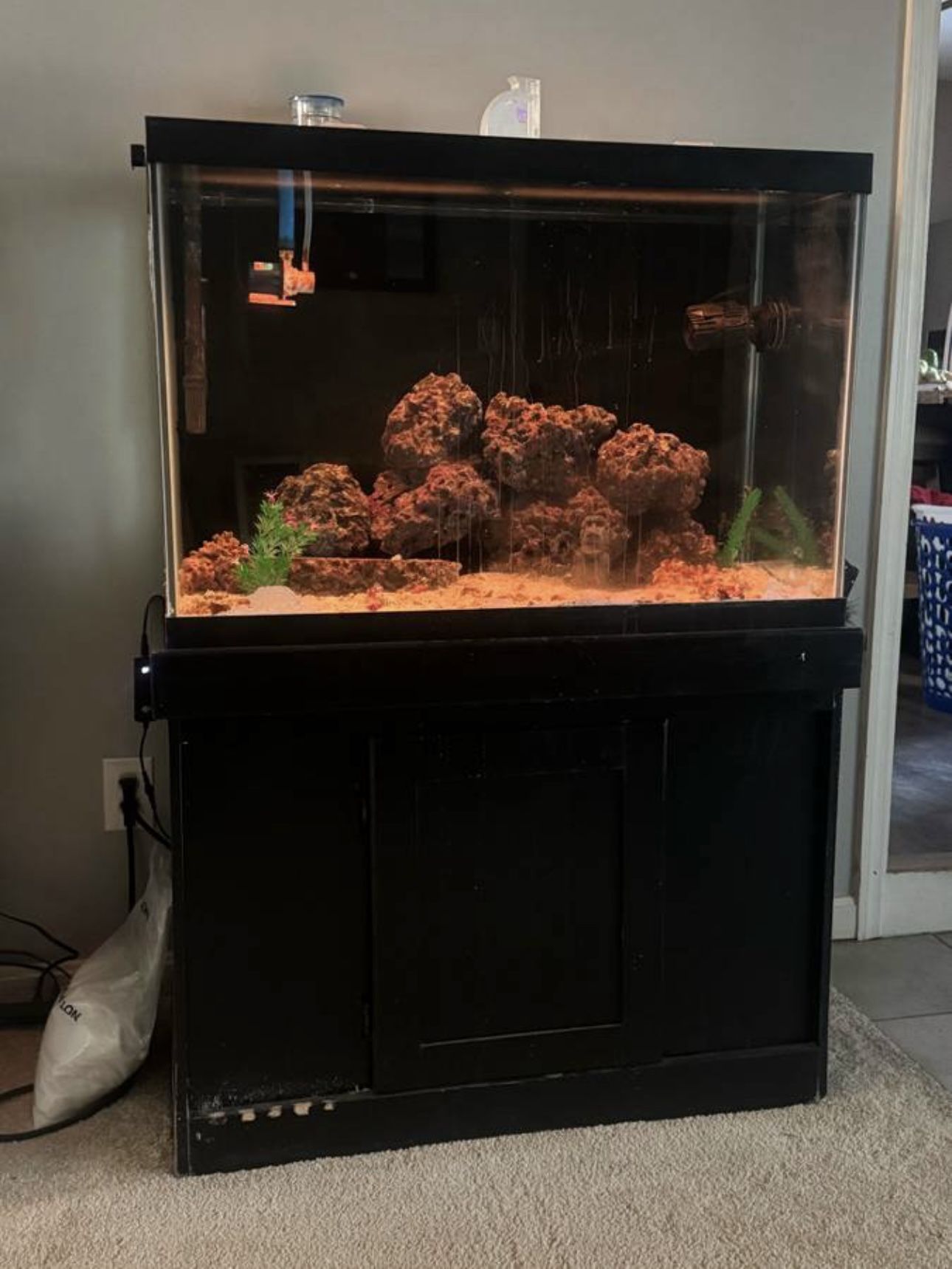 Saltwater aquarium