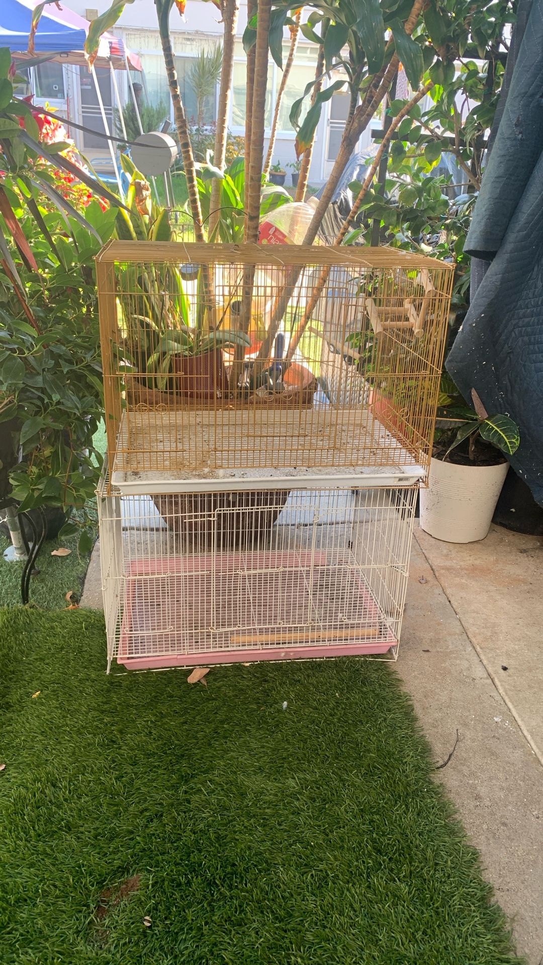 Bird Cage