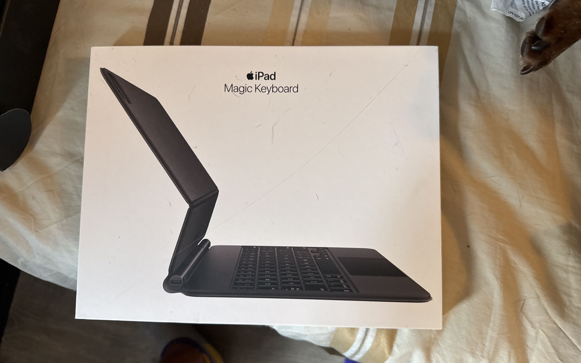 Ipad Magic Keyboard never used perfect condition