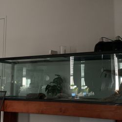 120 Gallon Reptile/Fish tank