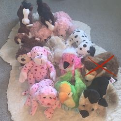 rarest webkinz