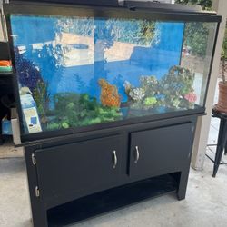 60 Gallon Fish Tank