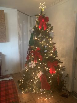 Big Tree For Your Home