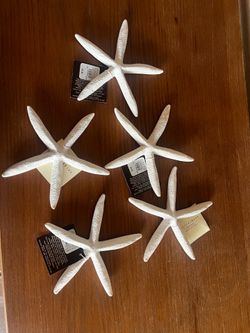 Pottery Barn Starfish