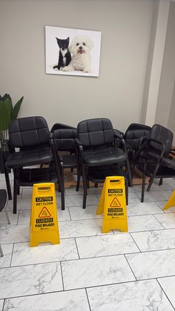 12 Chairs Free