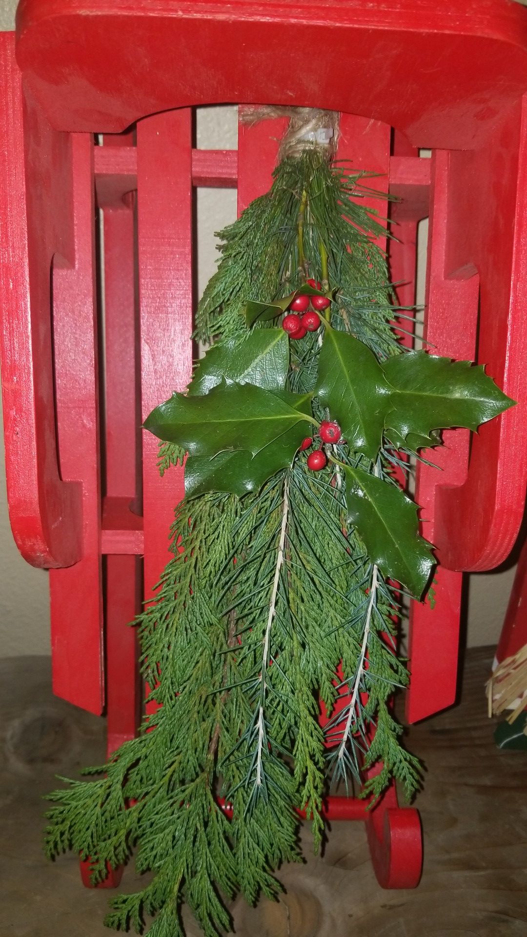Cedar Holly boughs 10 / bundle