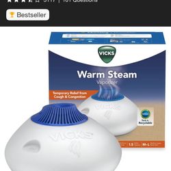 Warm Steam Vaporizer